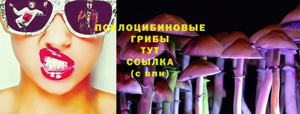 эйфоретик Лабытнанги