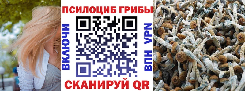 Галлюциногенные грибы Psilocybe Печора