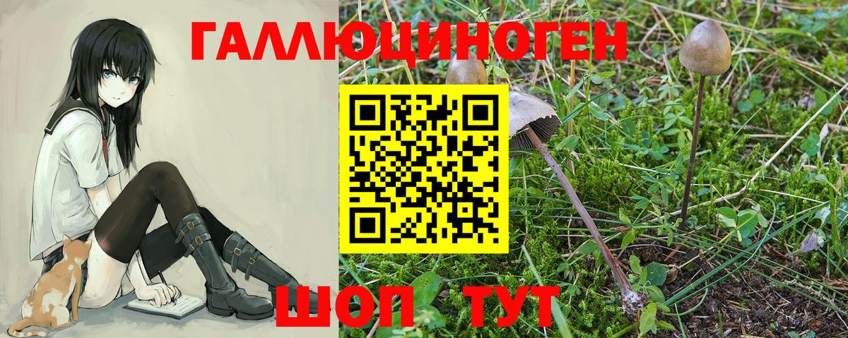Псилоцибиновые грибы мухоморы Печора